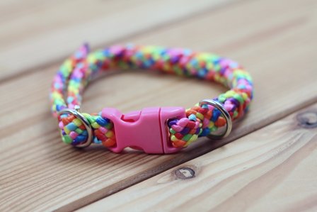 Hondenhalsband mini met klikgesp